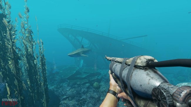Stranded deep launch
