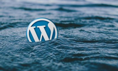 Top WordPress Migration Plugins