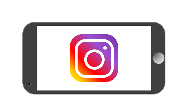 Be a Leader in Business By Gaining More Instagram Followers